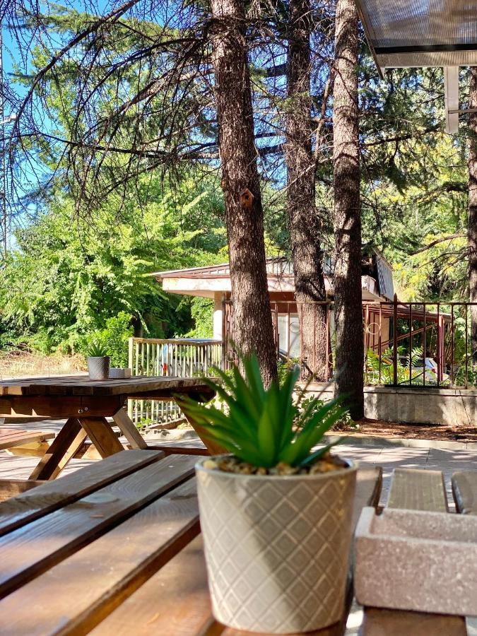 Hello Studios Budget Stays Free Parking & Wifi Stara Zagora Exteriör bild