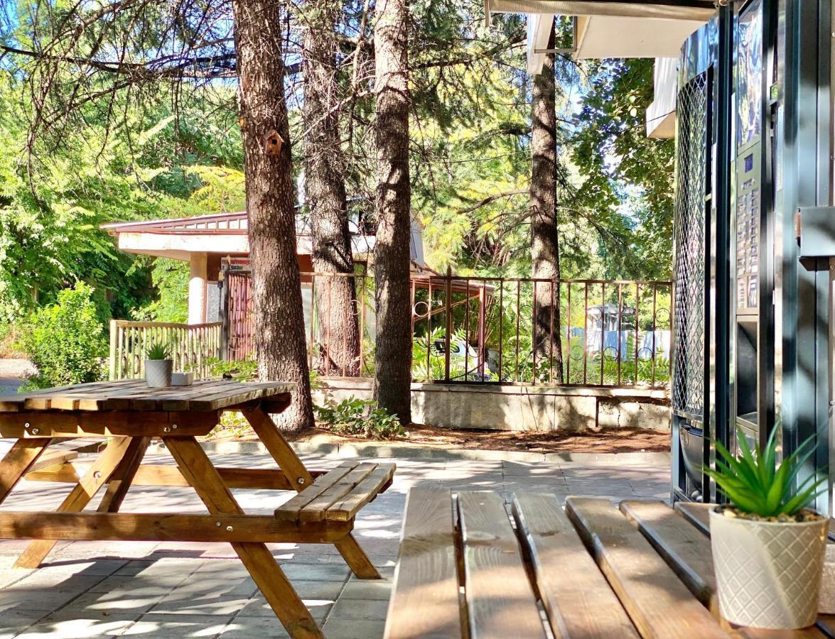 Hello Studios Budget Stays Free Parking & Wifi Stara Zagora Exteriör bild