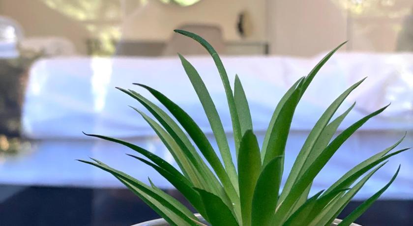 Hello Studios Budget Stays Free Parking & Wifi Stara Zagora Exteriör bild